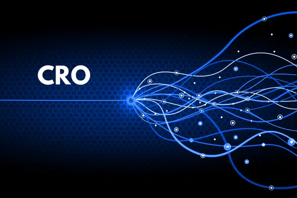 Why is CRO Important for B2B businesses